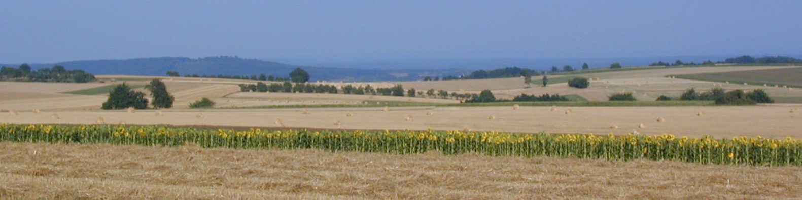 Villa in France